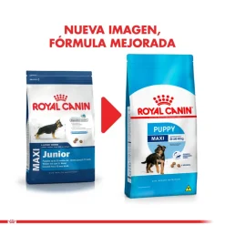 Royal Canin Cachorros (0 A 12 Meses)^Maxi Junior 15kg