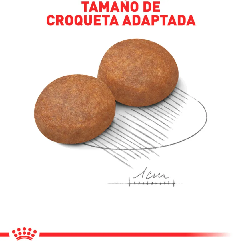 Royal Canin Adultos (1 A 7 Años)^Medium Adulto 15kg