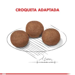 Royal Canin Cachorros (0 A 12 Meses)^Medium Junior 15kg