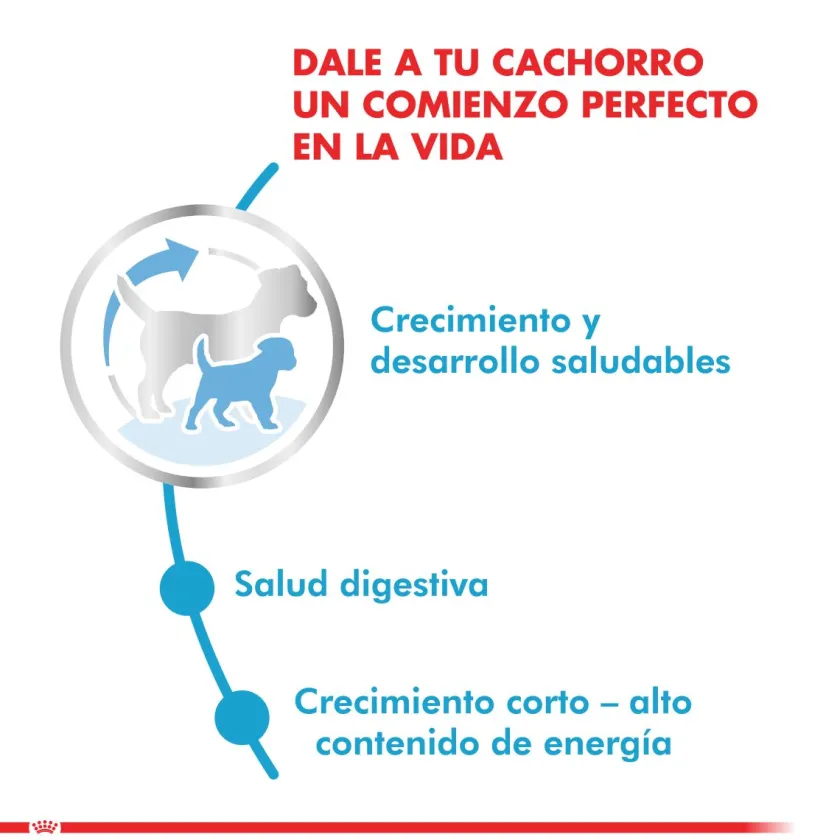 Royal Canin Cachorros (0 A 12 Meses)^Medium Junior 2.5kg