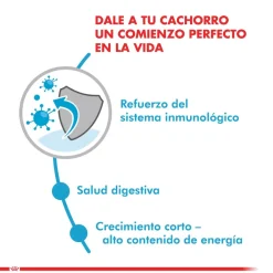 Royal Canin Húmedos^Medium Puppy Pouch Pack 10 Unidades