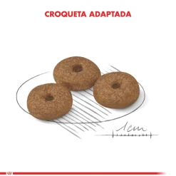 Royal Canin Senior (+7 Años)^Mini Adulto 12+ 2.5kg