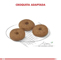 Royal Canin Senior (+7 Años)^Mini Adulto 12+ 1kg