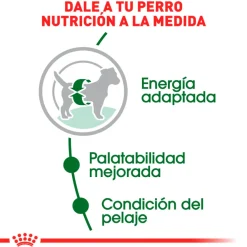 Royal Canin Adultos (1 A 7 Años)^Mini Adulto 2.5kg