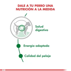 Royal Canin Húmedos^Mini Adulto Pouch Pack 12 Unidades