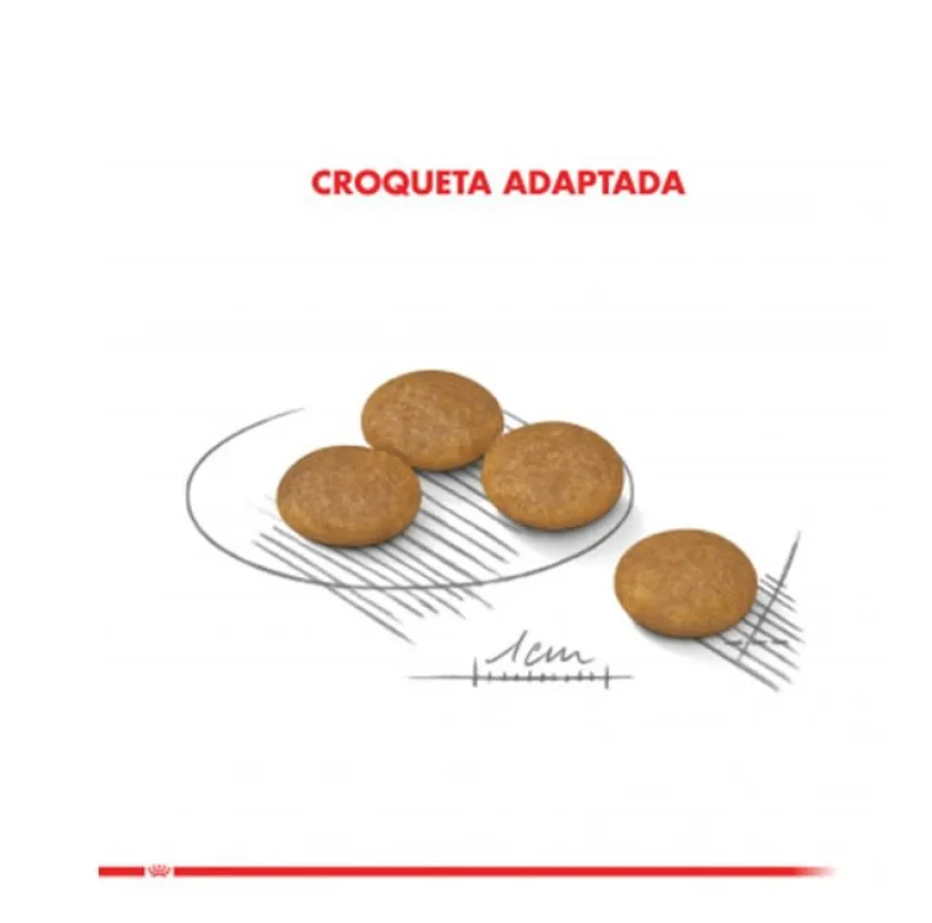 Royal Canin Adultos (1 A 7 Años)^Mini Dermaconfort 2.5kg