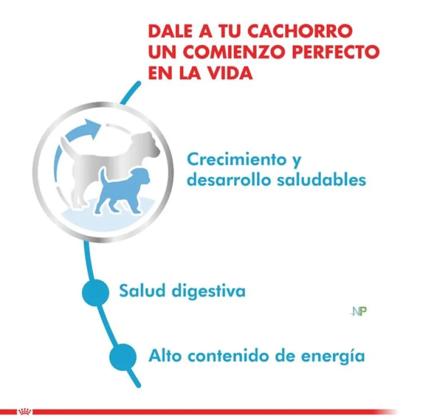Royal Canin Cachorros (0 A 12 Meses)^Mini Junior 8kg
