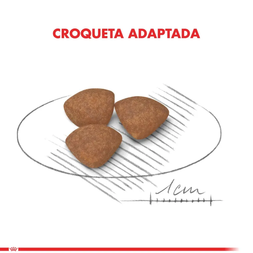 Royal Canin Cachorros (0 A 12 Meses)^Mini Junior 7.5kg
