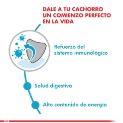 Royal Canin Húmedos^Mini Puppy Pouch 85gr