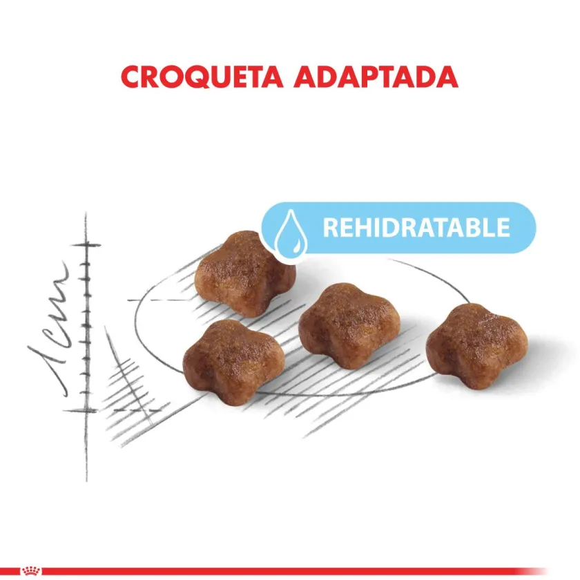 Royal Canin Gatitos (0 A 12 Meses)^Mother and Babycat 1.5kg