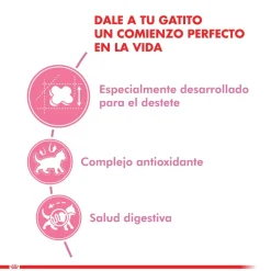 Royal Canin Gatitos (0 A 12 Meses)^Mother and Babycat 1.5kg