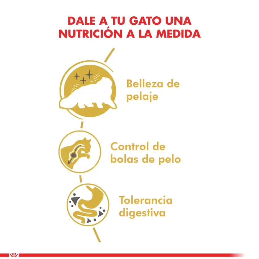 Royal Canin Específicos Para Razas^Persian 1.5kg
