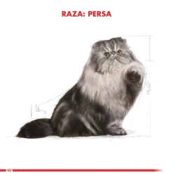 Royal Canin Específicos Para Razas^Persian 1.5kg