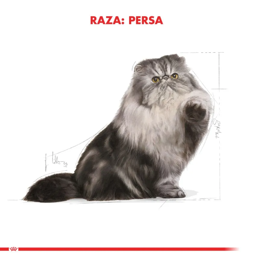 Royal Canin Específicos Para Razas^Persian 1.5kg