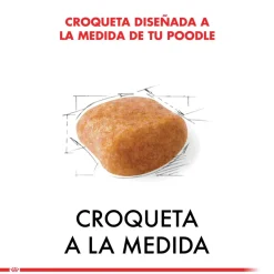 Royal Canin Específicos Para Razas^Poodle Adulto 3kg