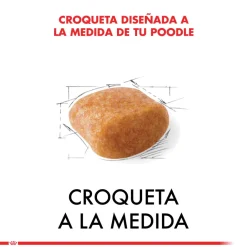 Royal Canin Específicos Para Razas^Poodle Adulto 2.5kg
