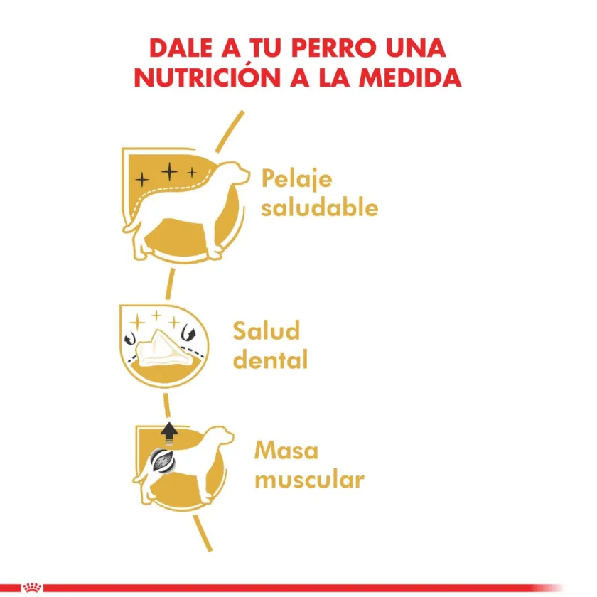 Royal Canin Específicos Para Razas^Poodle Adulto 3kg