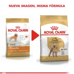 Royal Canin Específicos Para Razas^Poodle Adulto 2.5kg