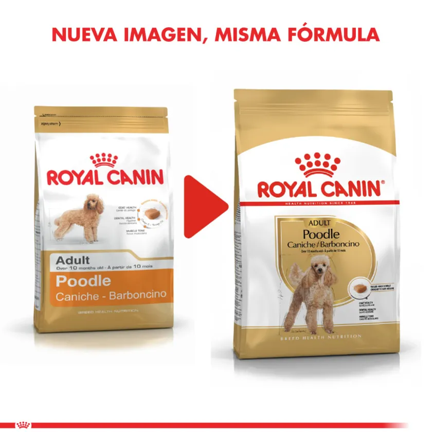 Royal Canin Específicos Para Razas^Poodle Adulto 2.5kg