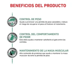 Royal Canin Funcionales | Alimentación Medicada^Pouch Vet Diet Felino Satiety 85gr