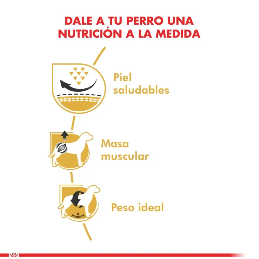 Royal Canin Específicos Para Razas^Pug Adulto 2.5kg