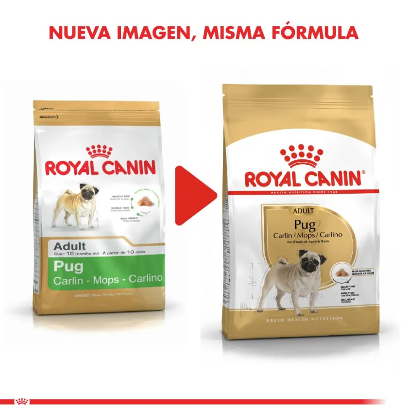 Royal Canin Específicos Para Razas^Pug Adulto 2.5kg