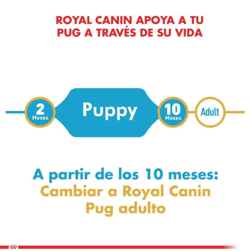 Royal Canin Específicos Para Razas^Pug Junior 2.5kg