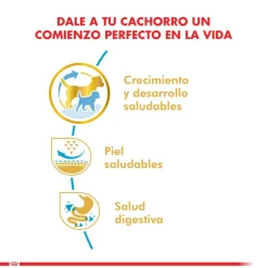 Royal Canin Específicos Para Razas^Pug Junior 2.5kg
