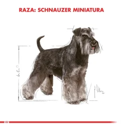 Royal Canin Específicos Para Razas^Schnauzer Adulto 3kg