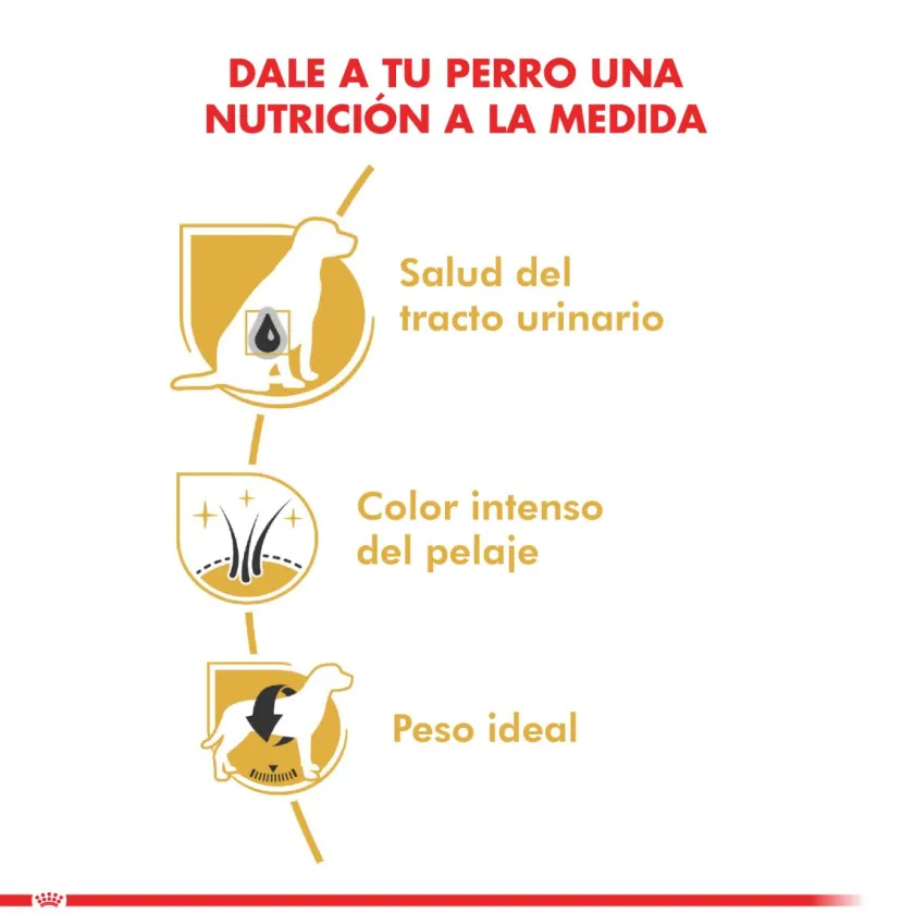 Royal Canin Específicos Para Razas^Schnauzer Adulto 2.5kg