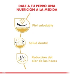 Royal Canin Específicos Para Razas^Shih Tzu Adulto 2.5kg