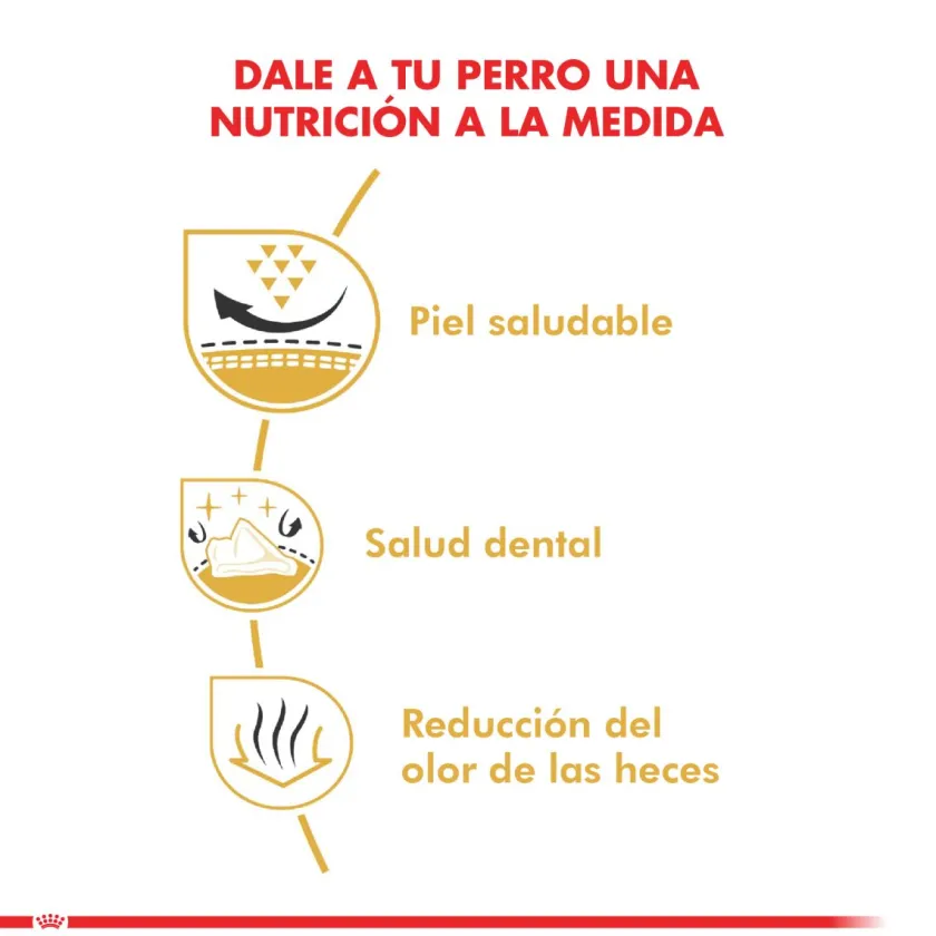 Royal Canin Específicos Para Razas^Shih Tzu Adulto 2.5kg