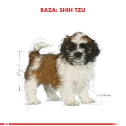 Royal Canin Específicos Para Razas^Shih Tzu Junior 2.5kg