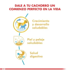 Royal Canin Específicos Para Razas^Shih Tzu Junior 2.5kg
