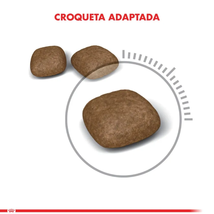 Royal Canin Adultos (1 A 7 Años)^Urinary Care 7.5kg