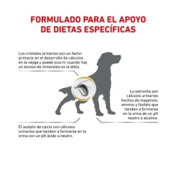 Royal Canin Alimentación Medicada^Vet Diet Dog Urinary 2kg
