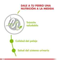 Royal Canin Adultos (1 A 7 Años)^XSmall Adult 1kg