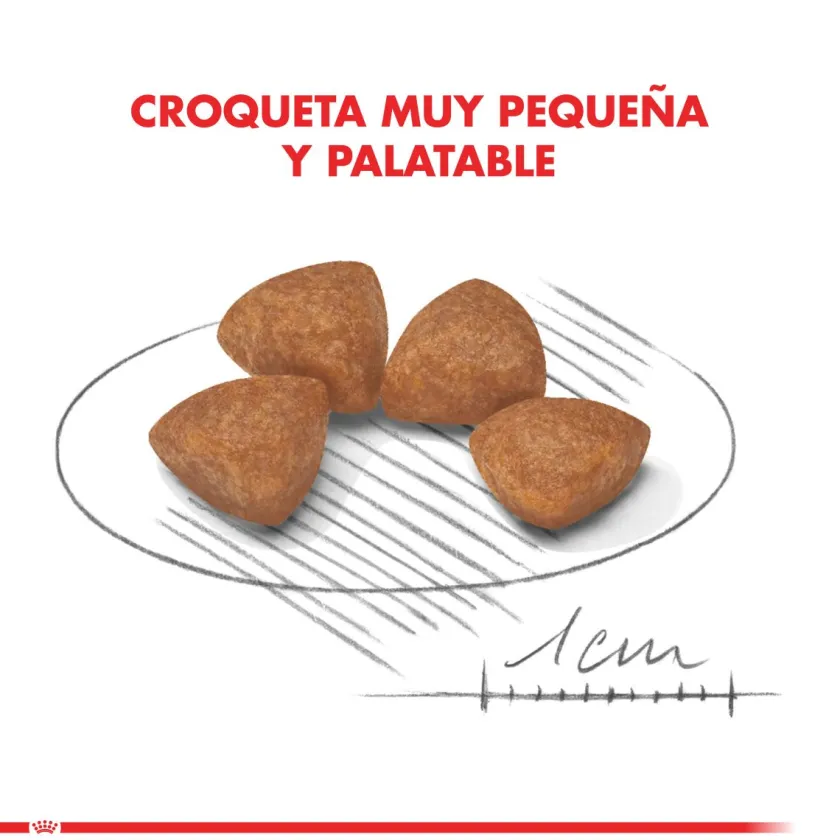 Royal Canin Cachorros (0 A 12 Meses)^XSmall Puppy 2.5kg