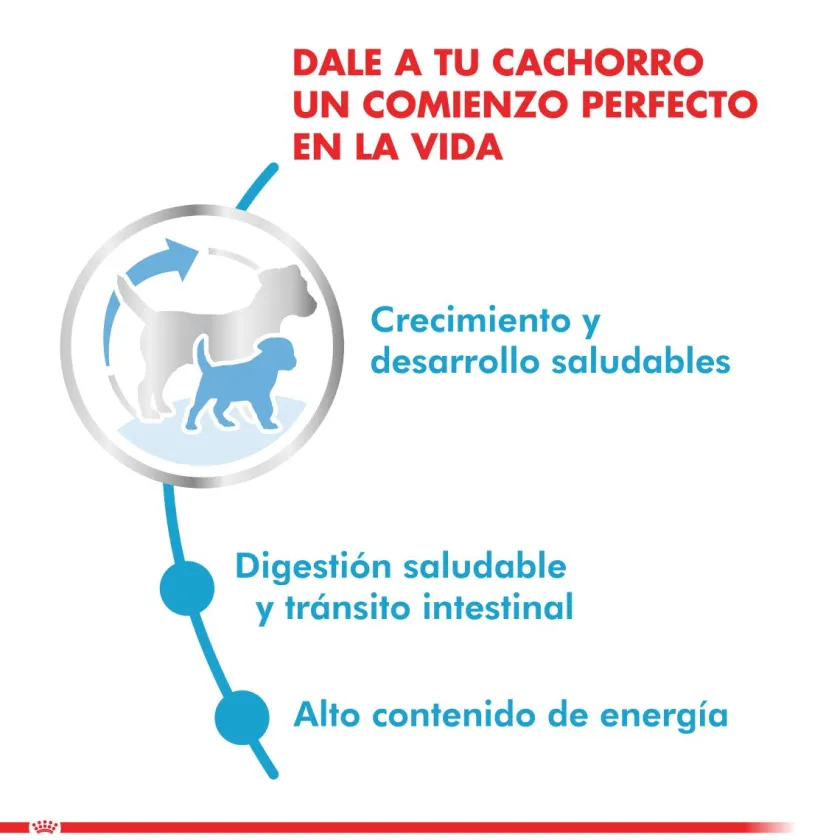 Royal Canin Cachorros (0 A 12 Meses)^XSmall Puppy 2.5kg