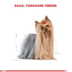 Royal Canin Específicos Para Razas^Yorkshire Terrier Adulto 2.5kg