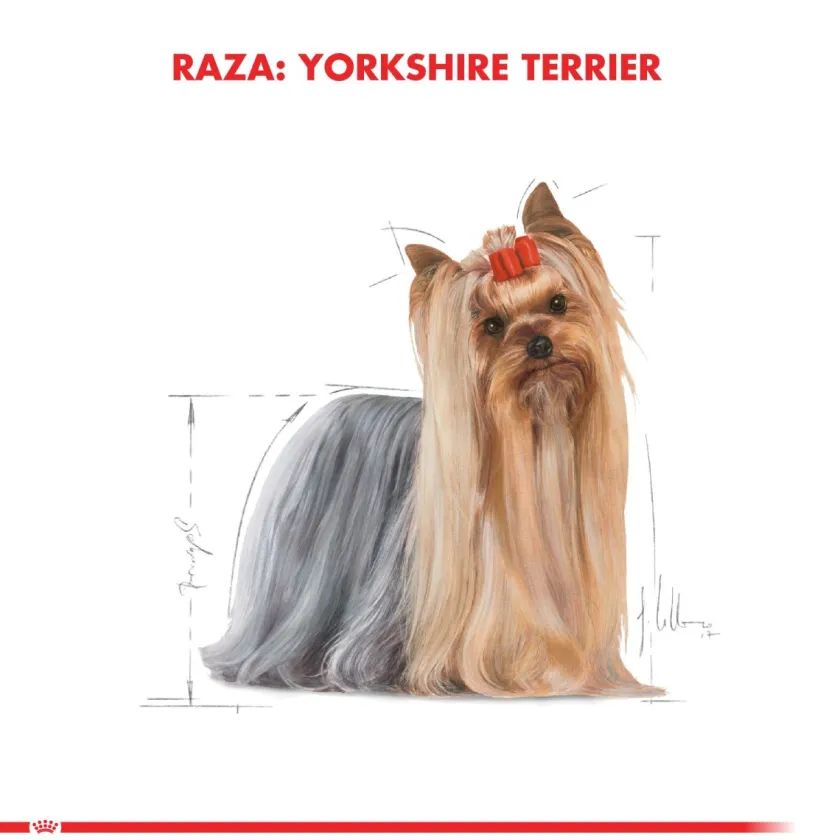 Royal Canin Específicos Para Razas^Yorkshire Terrier Adulto 2.5kg