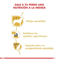 Royal Canin Específicos Para Razas^Yorkshire Terrier Adulto 3kg