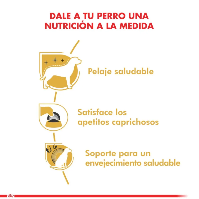 Royal Canin Específicos Para Razas^Yorkshire Terrier Adulto 3kg