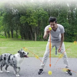 Gigwi Juguetes^Skipdawg Agility Ball 2pk