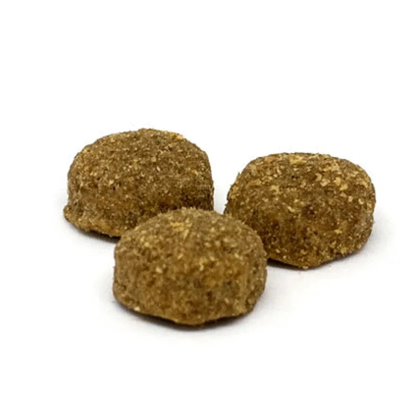 Summit 10 Adultos (1 A 7 Años)^Dog Adult All Breeds 3kg