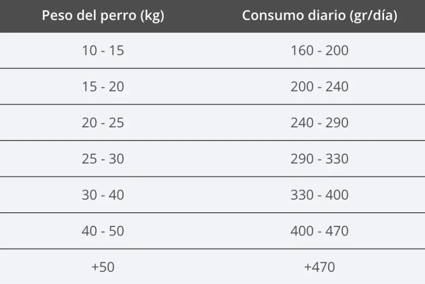Summit 10 Adultos (1 A 7 Años)^Dog Adult All Breeds 3kg