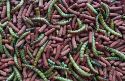 Tropifit Erizos De Tierra^Atelerix para Erizo de Tierra 300gr