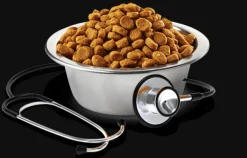 Vet Life Alimentación Medicada^Cat Renal 7.5kg