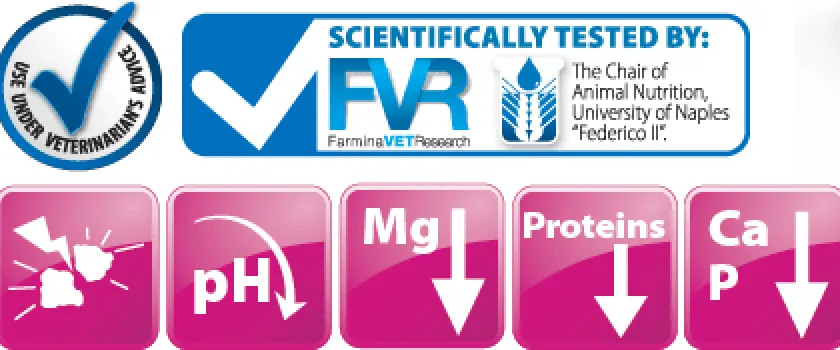 Vet Life Alimentación Medicada^Cat Urinary Struvite Lata 85gr Pack 12 Unidades