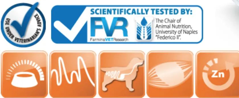 Vet Life Alimentación Medicada^Dog Convalescence Lata 300gr